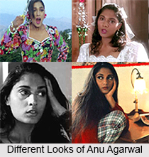 Anu Agarwal, Bollywood Actress
