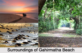 Gahirmatha Beach, Kendrapara District, Odisha