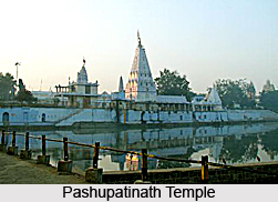 Pashupatinath Temple, Madhya Pradesh