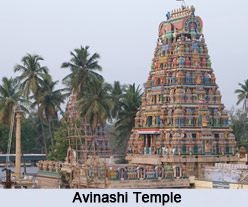 Avinashi Temple, Coimbatore, Tamilnadu